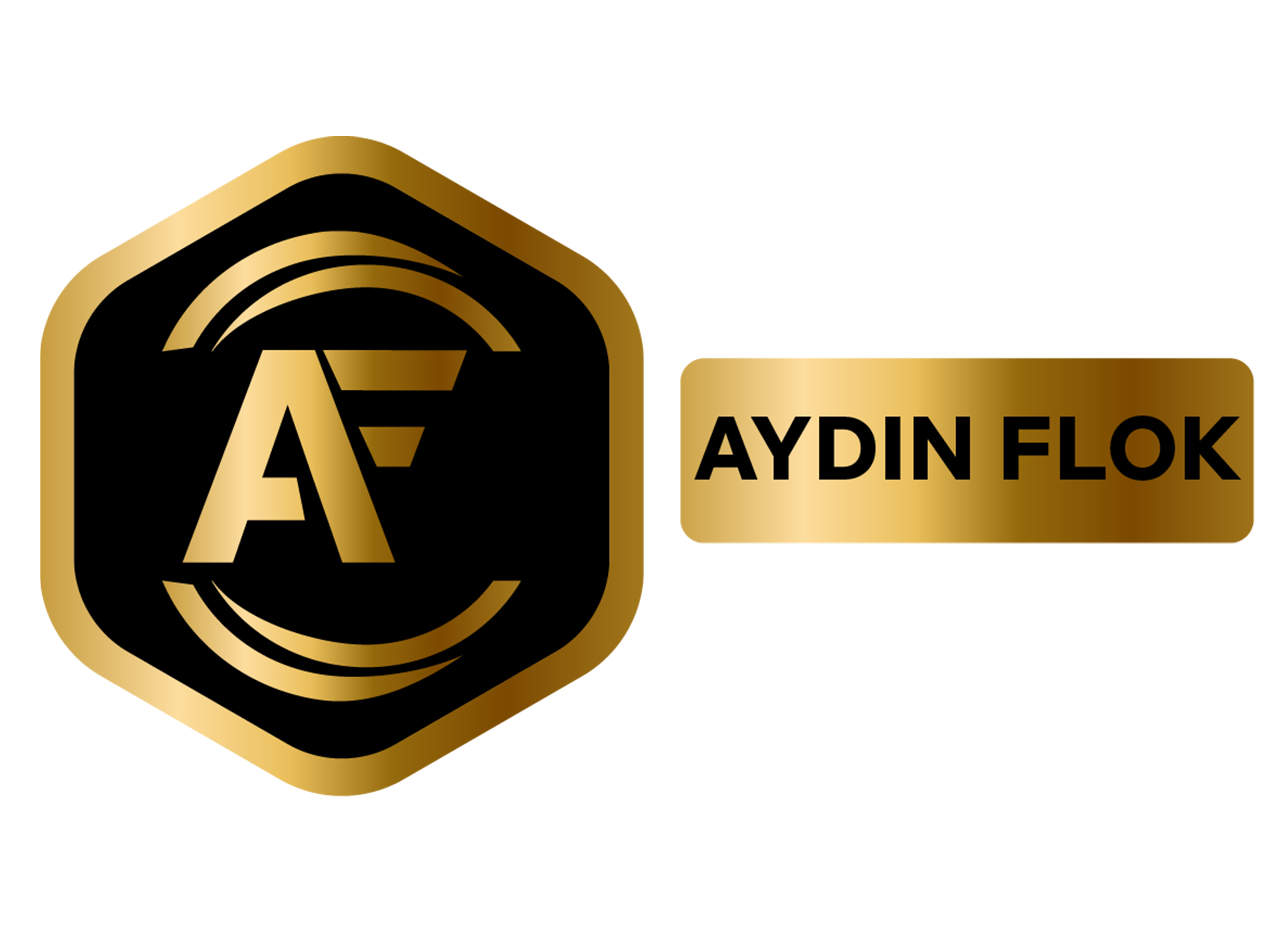 aydin-flok-logo-gorsel